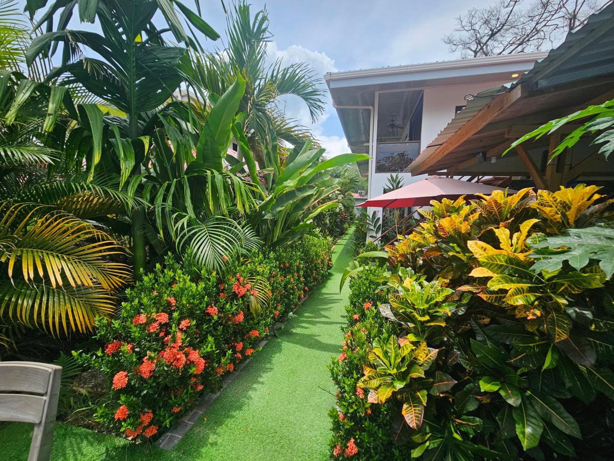 Ballena Rey Hotel أوفيتا المظهر الخارجي الصورة